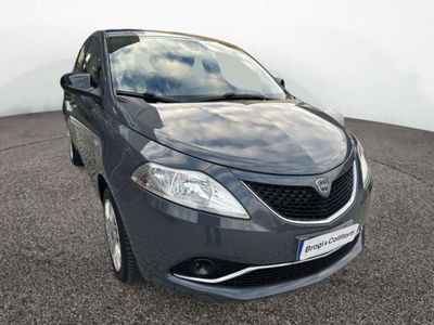 Lancia Ypsilon 1.2 69 CV 5 porte Gold del 2016 usata a Empoli