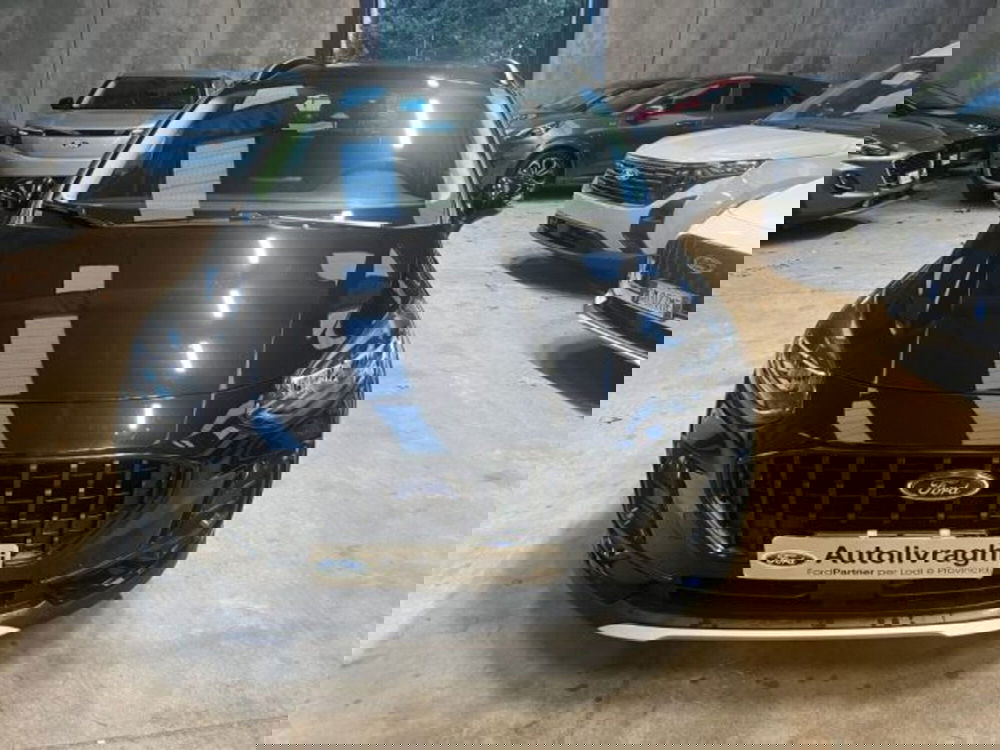 Ford Fiesta usata a Lodi (2)