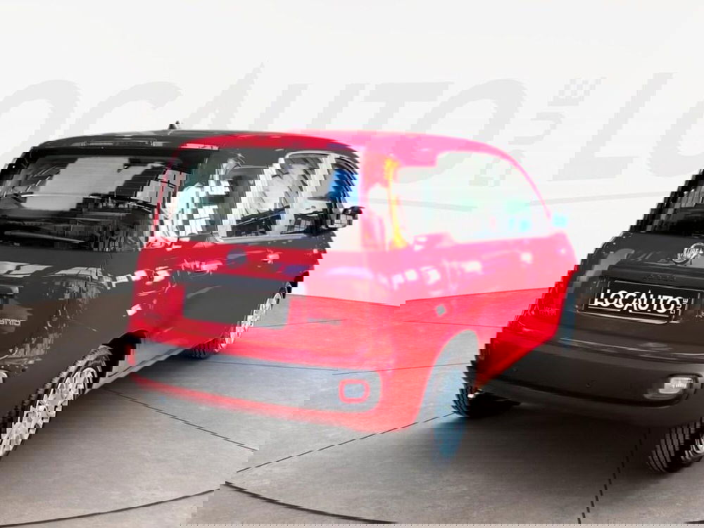 Fiat Pandina nuova a Torino (4)