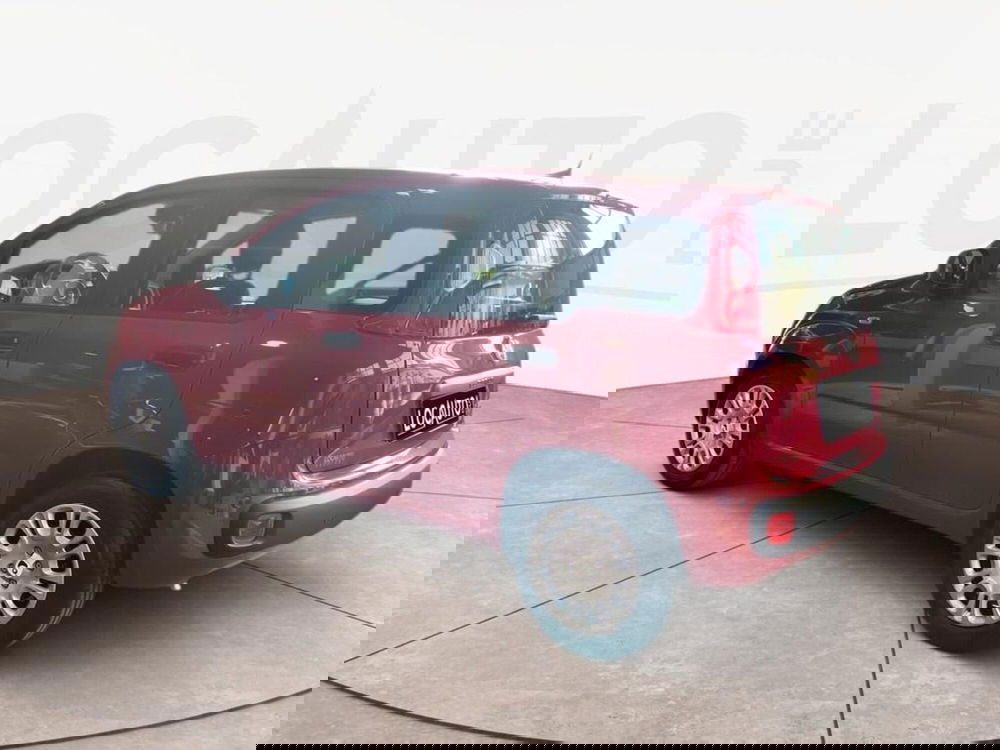 Fiat Pandina nuova a Torino (5)