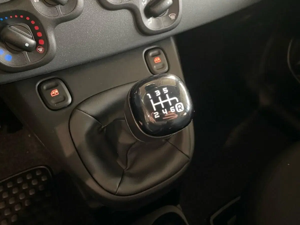 Fiat Pandina nuova a Torino (11)