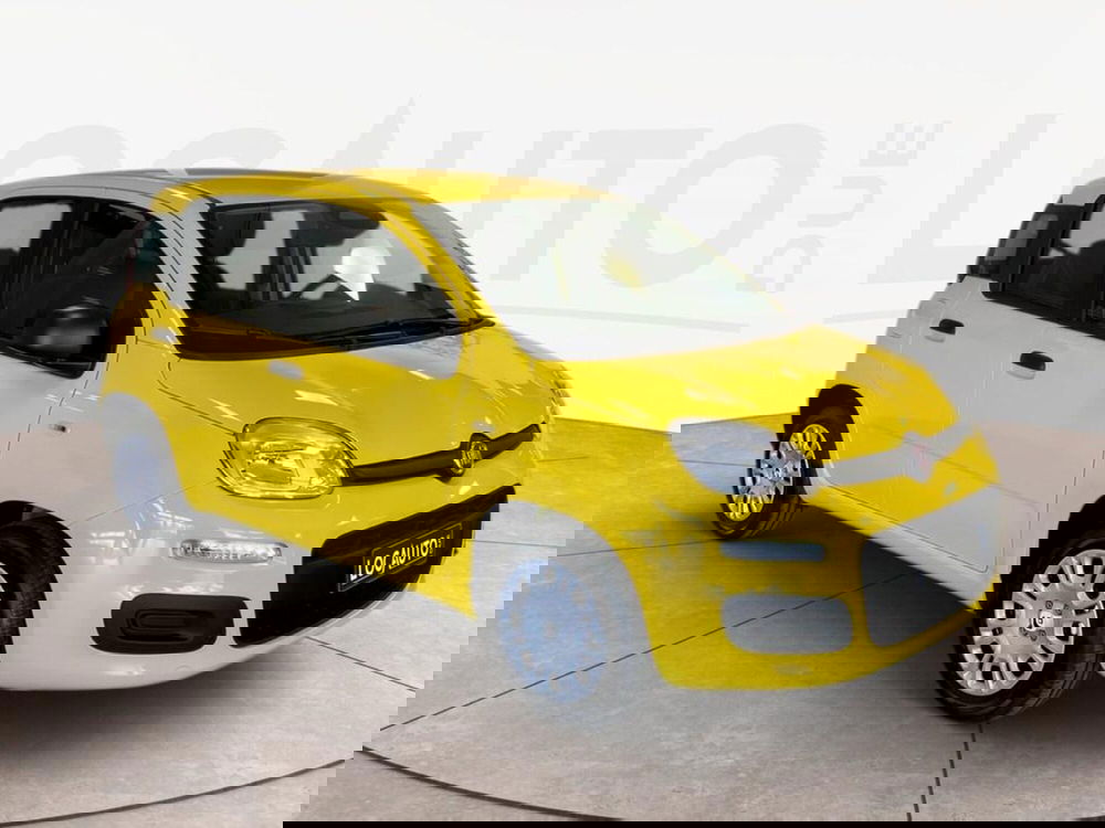 Fiat Pandina nuova a Torino (3)