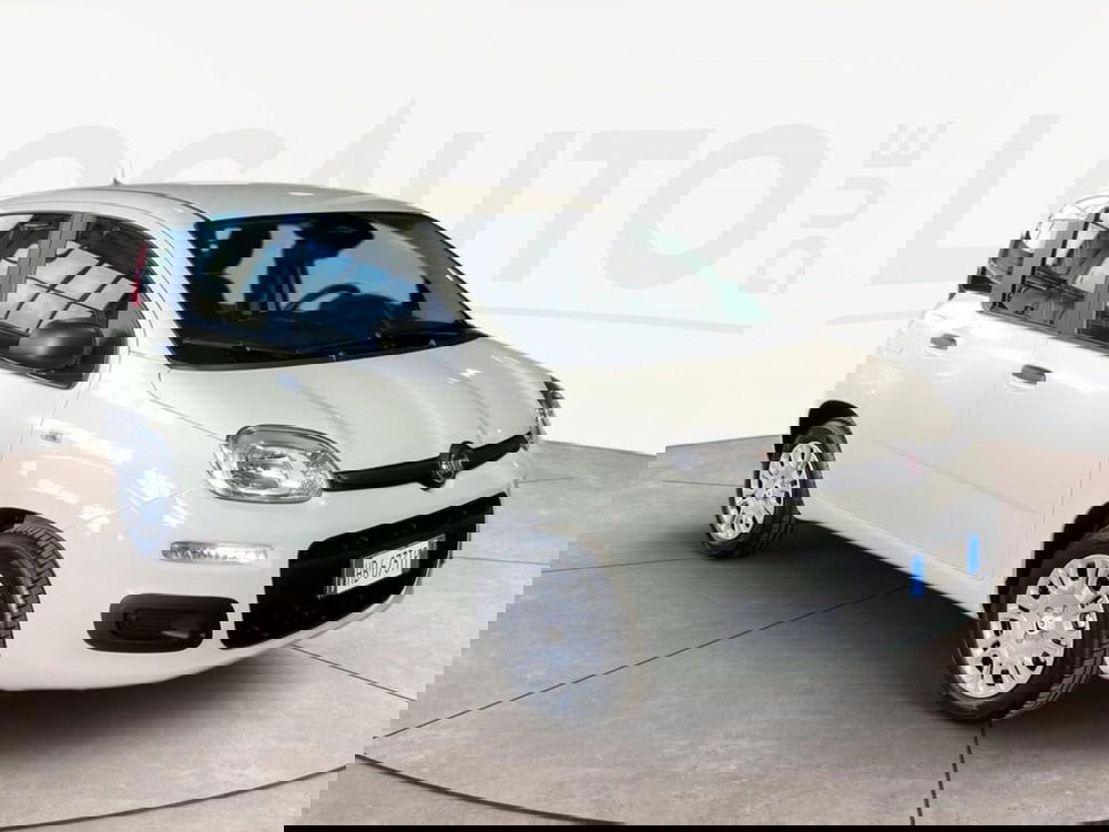 Fiat Pandina nuova a Torino (3)