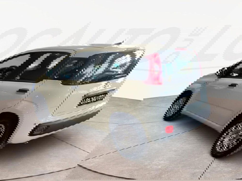 Fiat Pandina nuova a Torino (5)