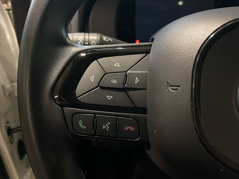 Fiat Pandina nuova a Torino (13)