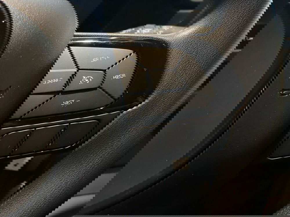 Fiat Pandina nuova a Torino (14)