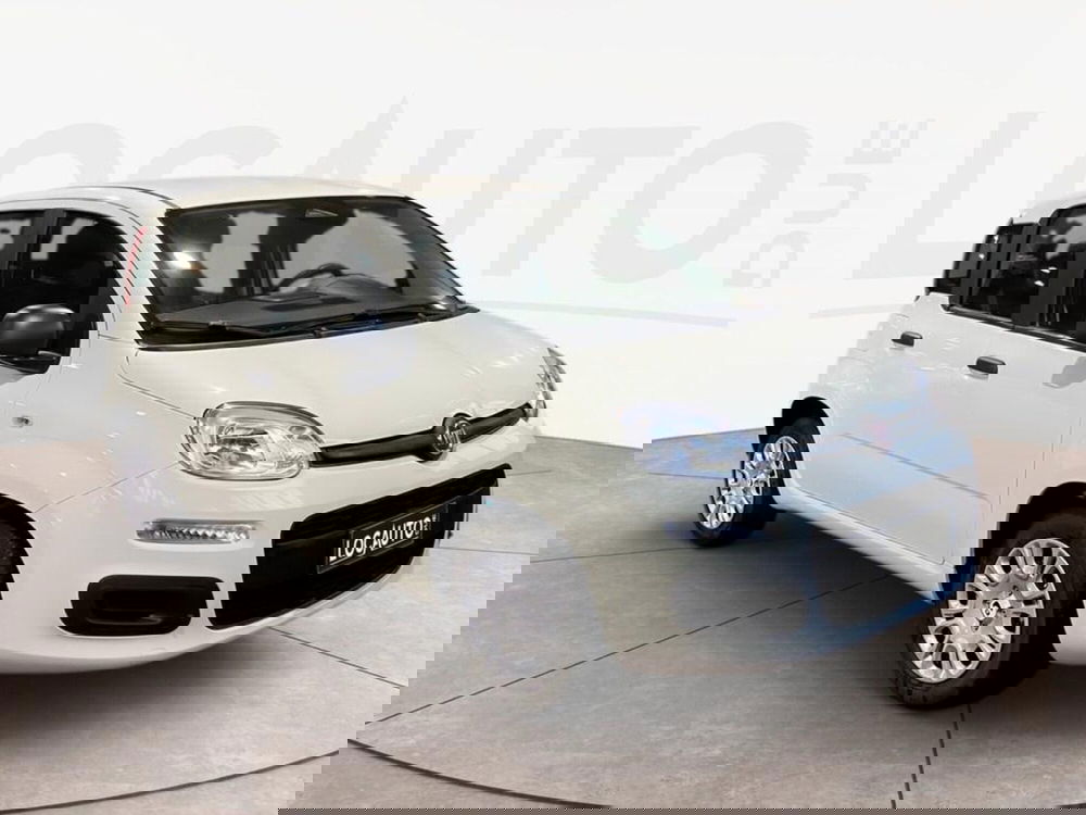 Fiat Pandina nuova a Torino (3)