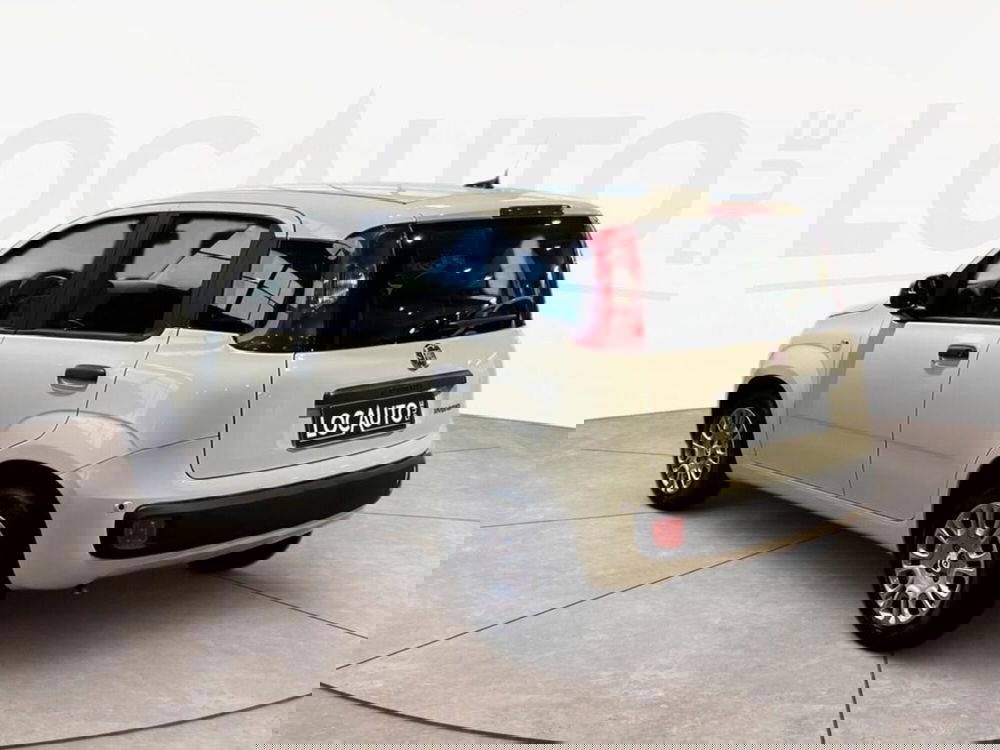 Fiat Pandina nuova a Torino (5)