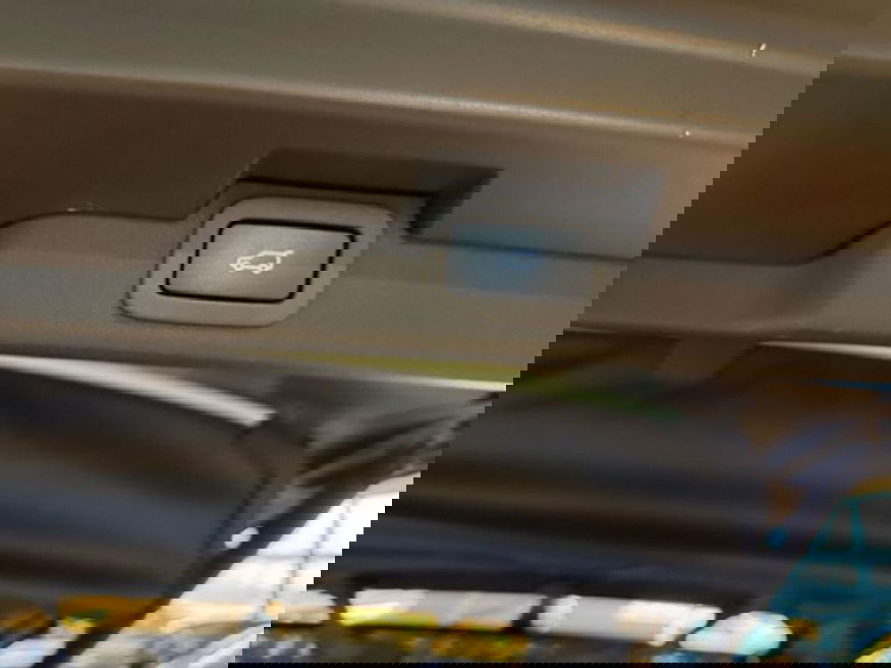 Land Rover Discovery usata a Livorno (20)