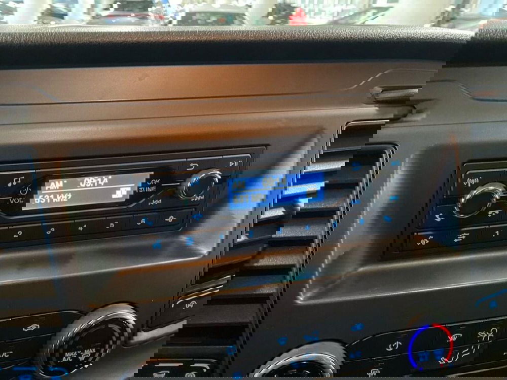 Ford Transit Custom Furgone usata a Torino (10)