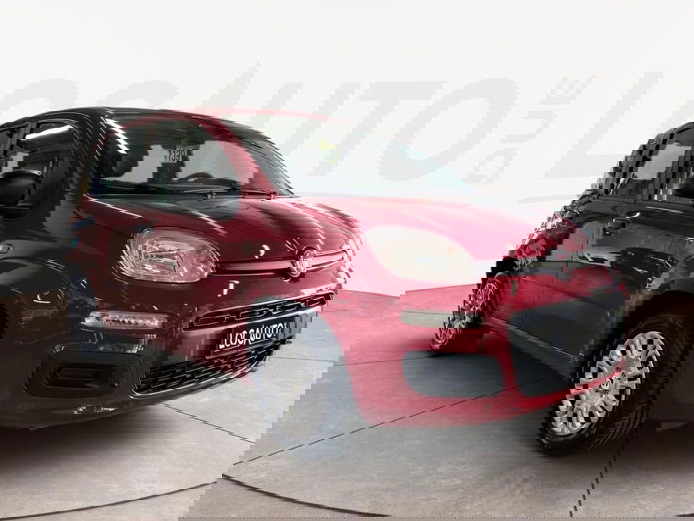 Fiat Pandina nuova a Torino (3)