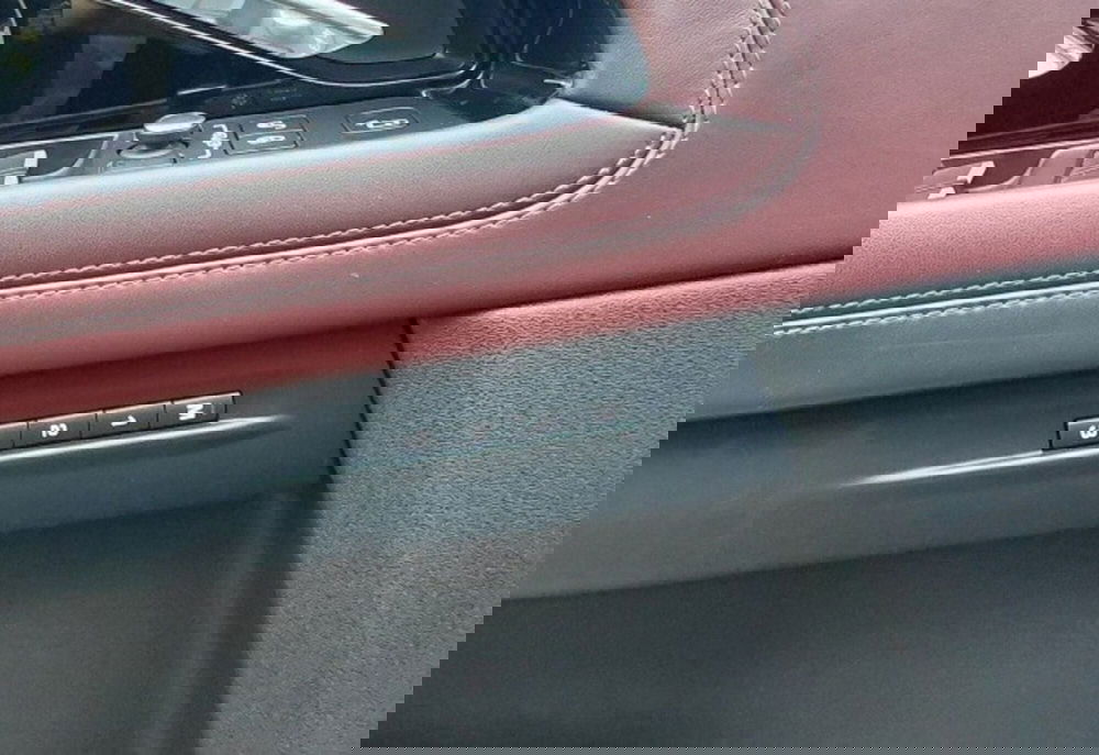 Land Rover Range Rover Evoque usata a Cosenza (16)