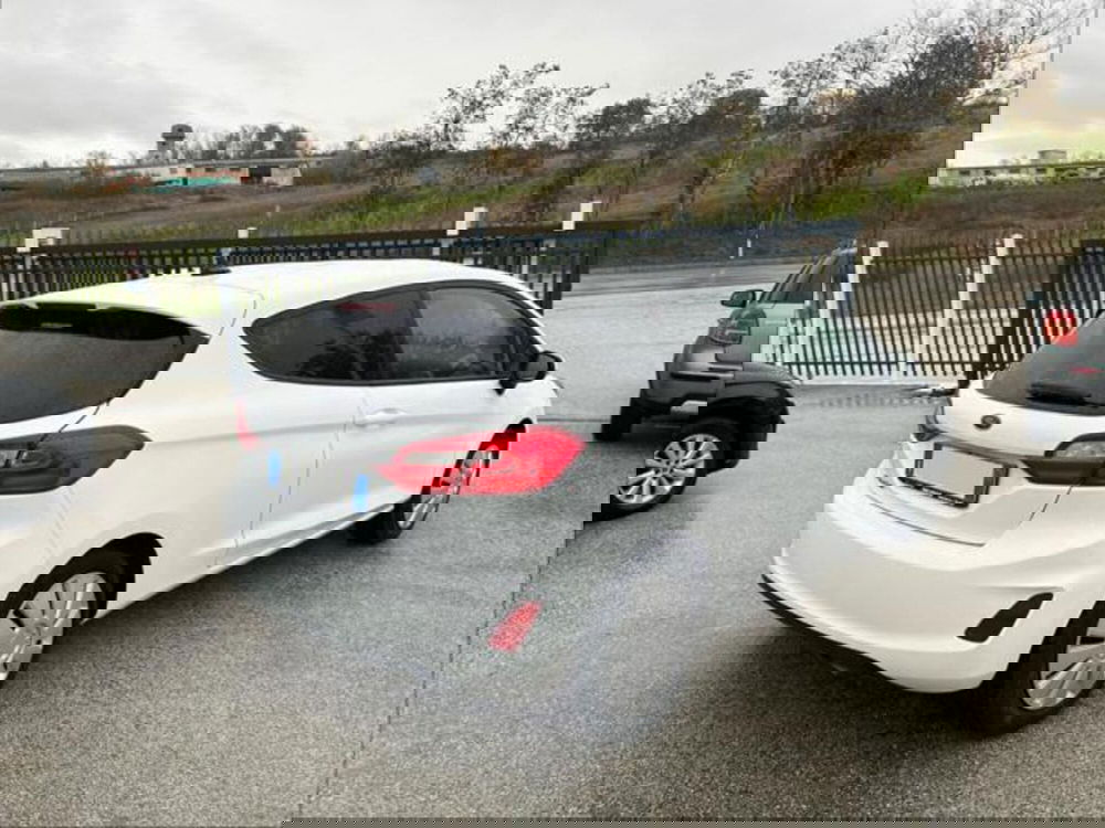 Ford Fiesta usata a Campobasso (4)