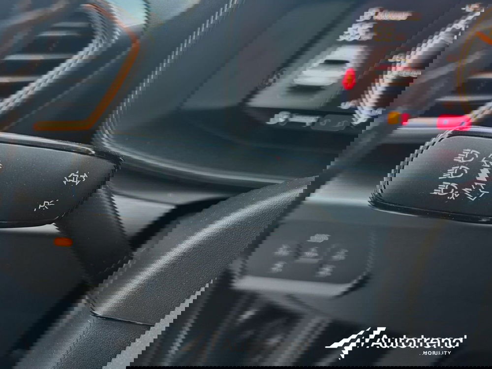 Cupra Formentor usata a Bari (11)