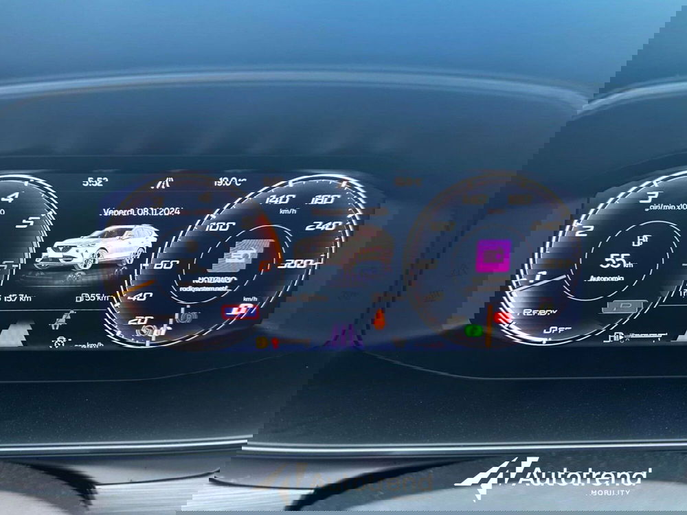 Cupra Formentor usata a Bari (13)