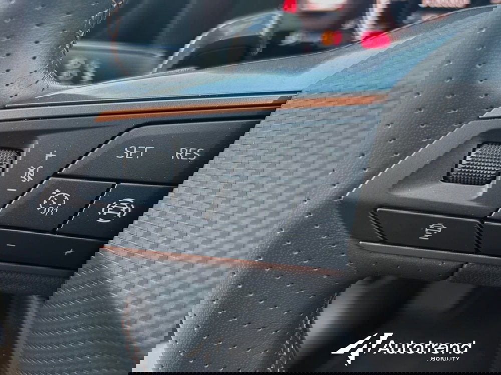 Cupra Formentor usata a Bari (9)