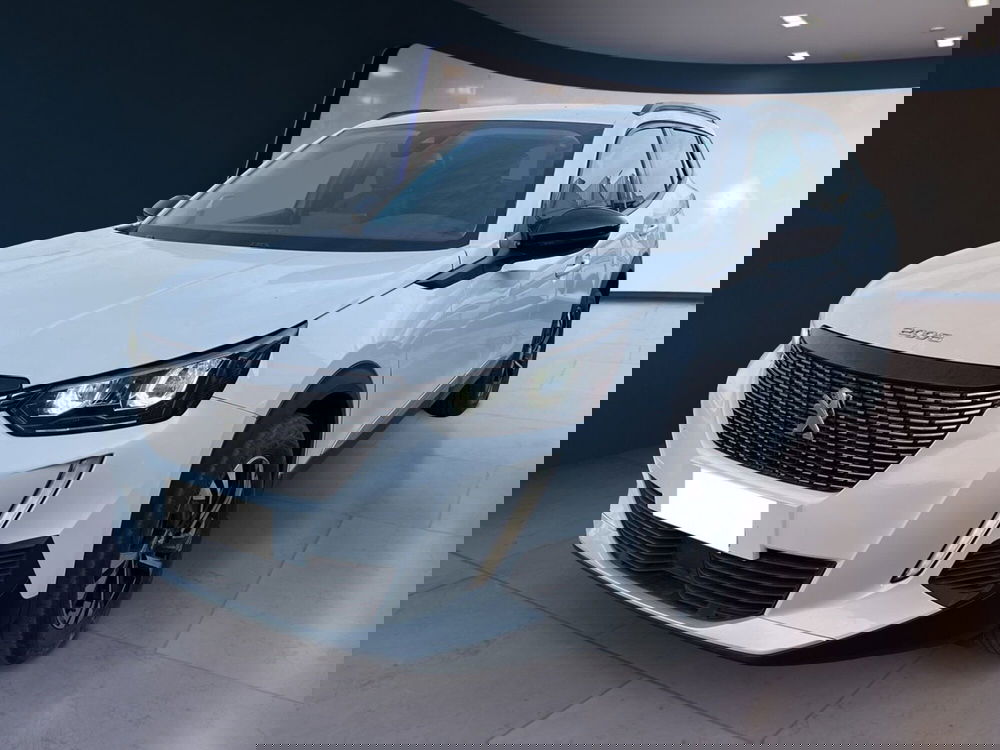 Peugeot 2008 usata a Torino (2)