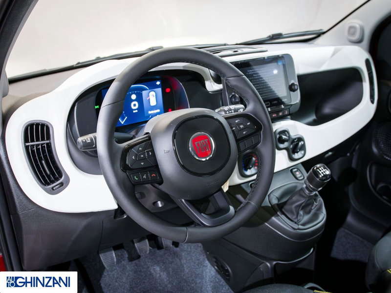 Fiat Panda Cross usata a Bergamo (11)