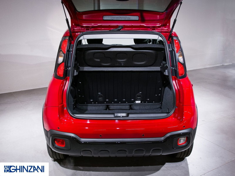 Fiat Panda Cross usata a Bergamo (13)