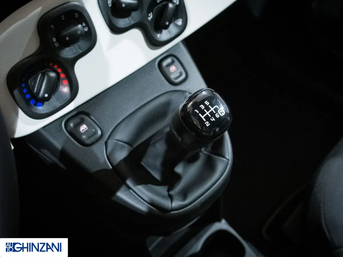 Fiat Panda Cross usata a Bergamo (16)