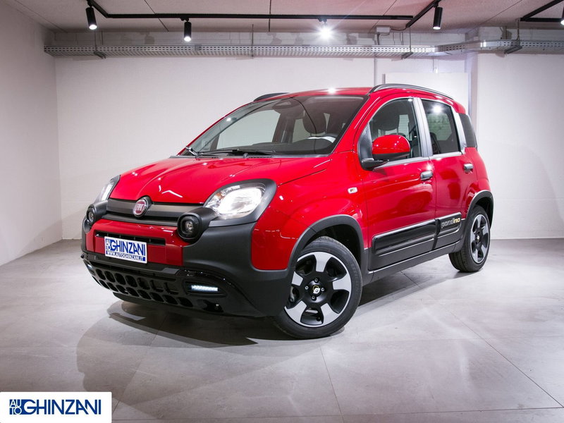 Fiat Panda Cross usata a Bergamo (3)
