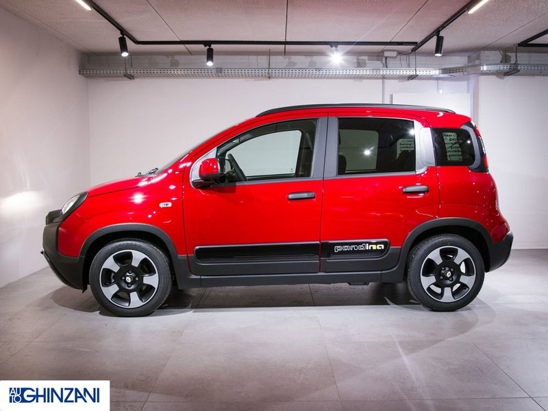 Fiat Panda Cross usata a Bergamo (5)