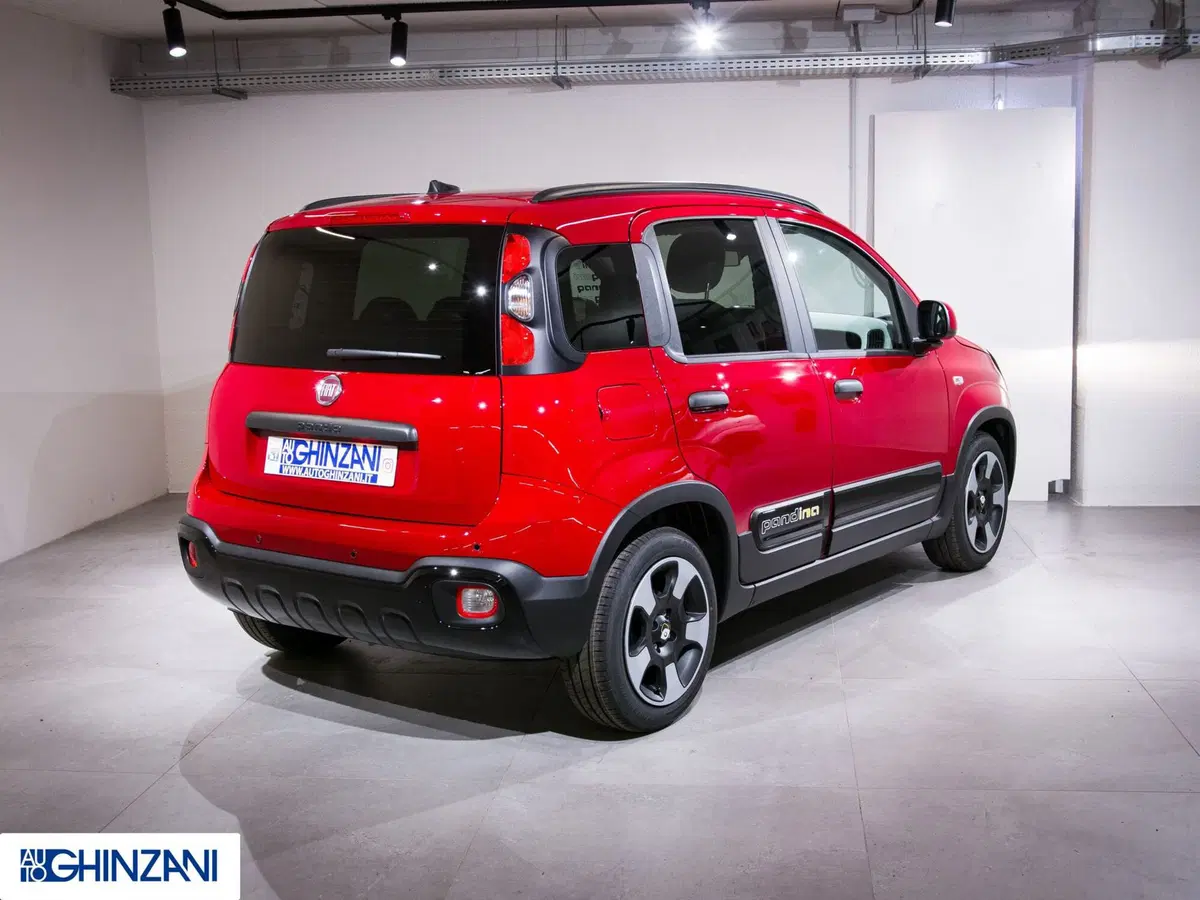 Fiat Panda Cross usata a Bergamo (7)
