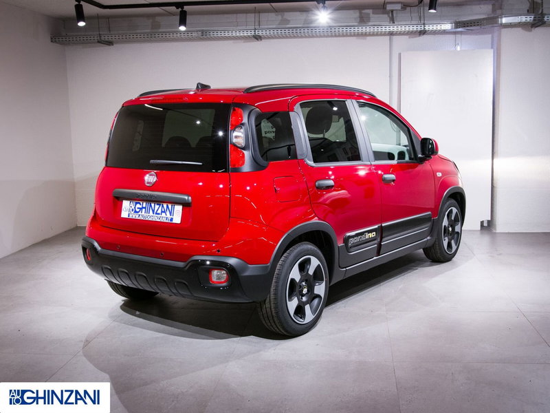 Fiat Panda Cross usata a Bergamo (7)