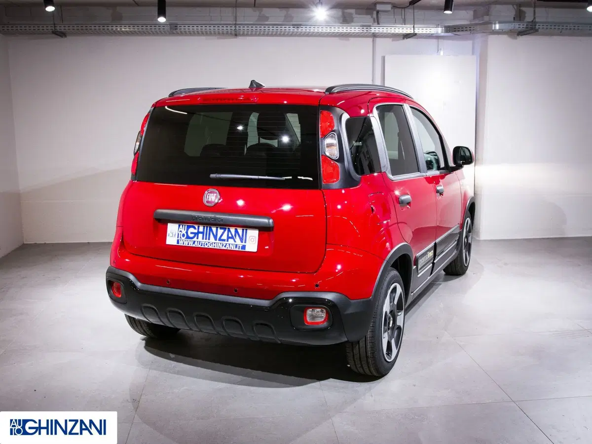 Fiat Panda Cross usata a Bergamo (8)