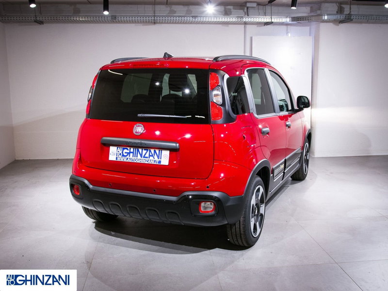 Fiat Panda Cross usata a Bergamo (8)