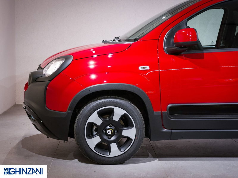 Fiat Panda Cross usata a Bergamo (9)