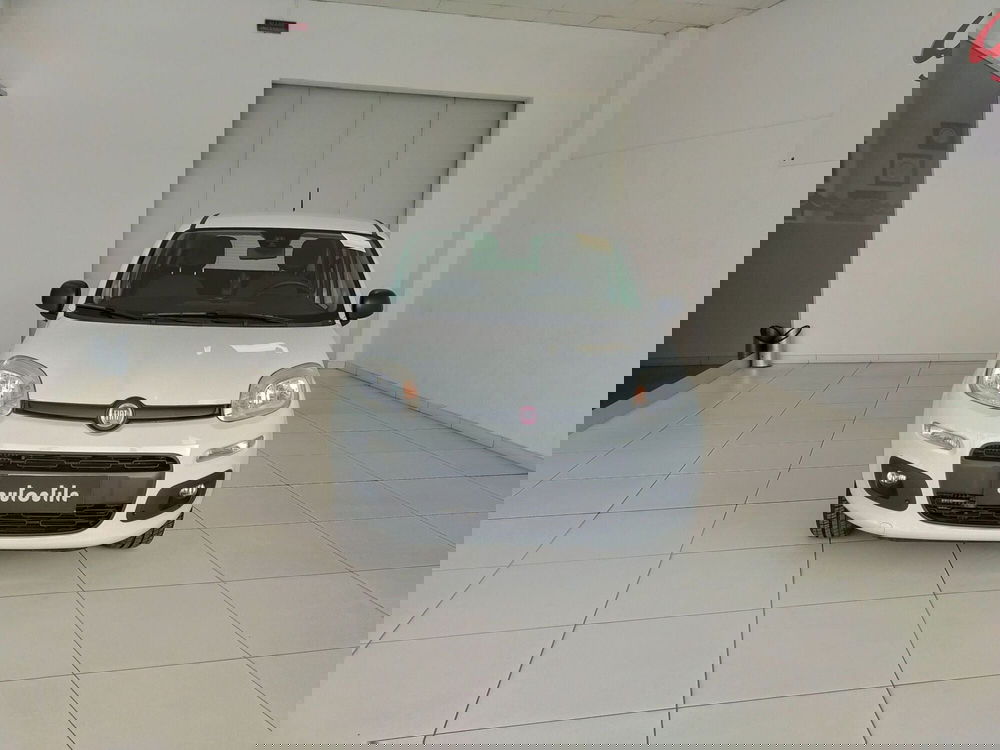 Fiat Panda usata a Reggio Emilia (2)