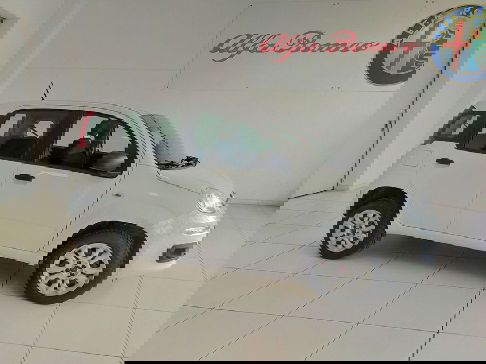 Fiat Panda usata a Reggio Emilia (4)