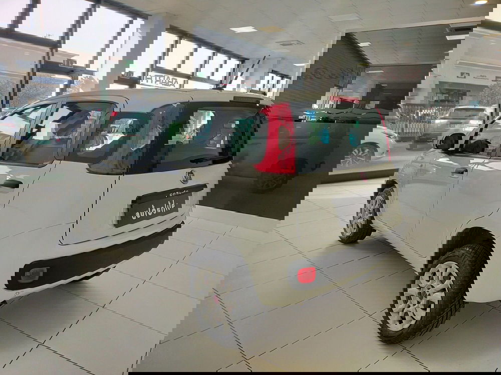 Fiat Panda usata a Reggio Emilia (6)