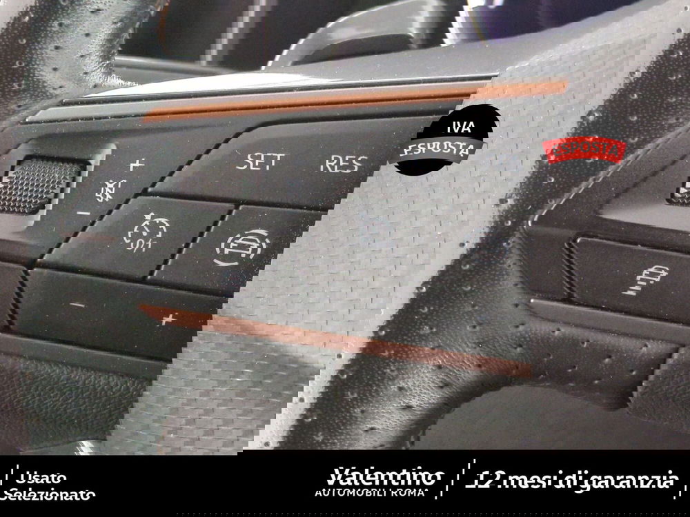 Cupra Formentor usata a Roma (15)