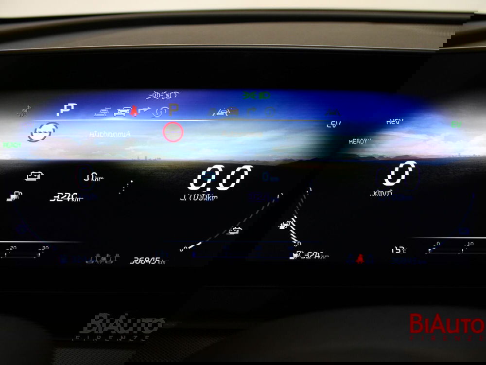 Kia Sportage usata a Firenze (11)