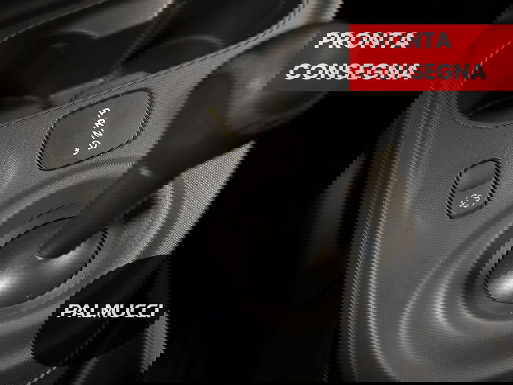 smart Fortwo usata a Prato (15)