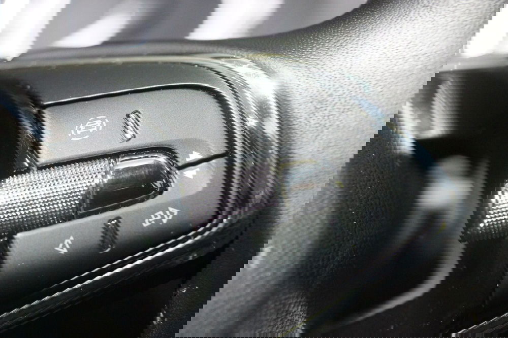 Skoda Kamiq usata a Torino (16)