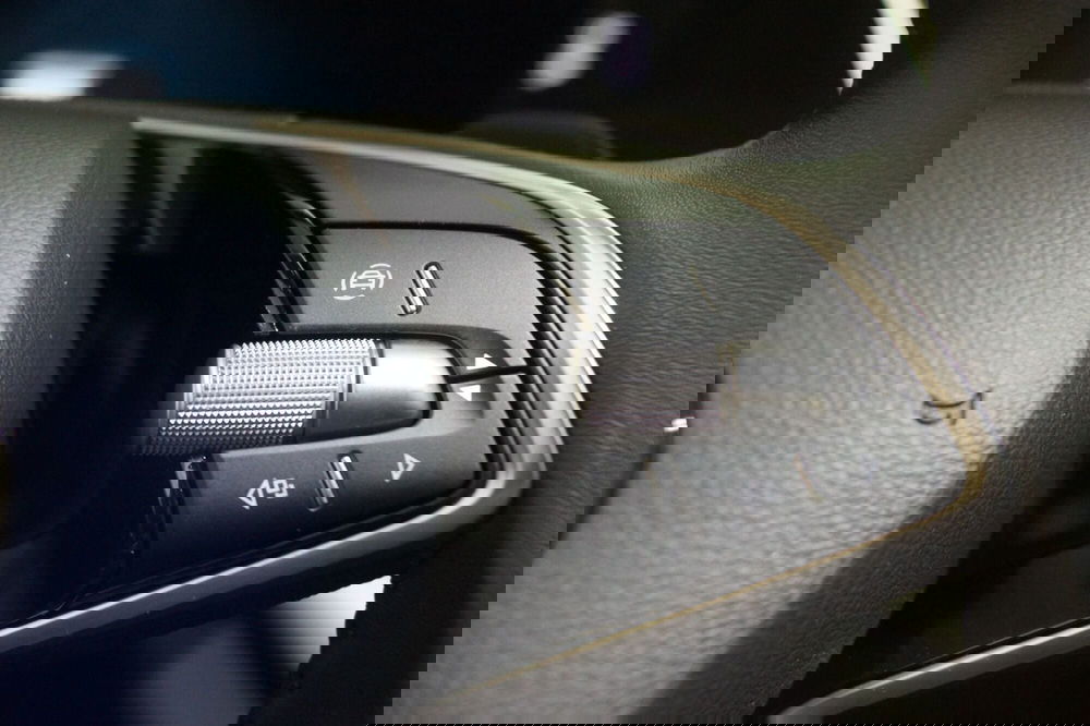 Skoda Octavia Station Wagon usata a Torino (15)