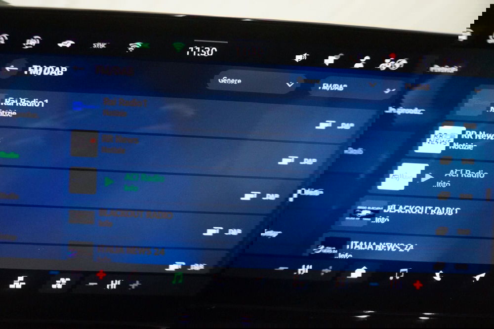 Skoda Octavia Station Wagon usata a Torino (20)