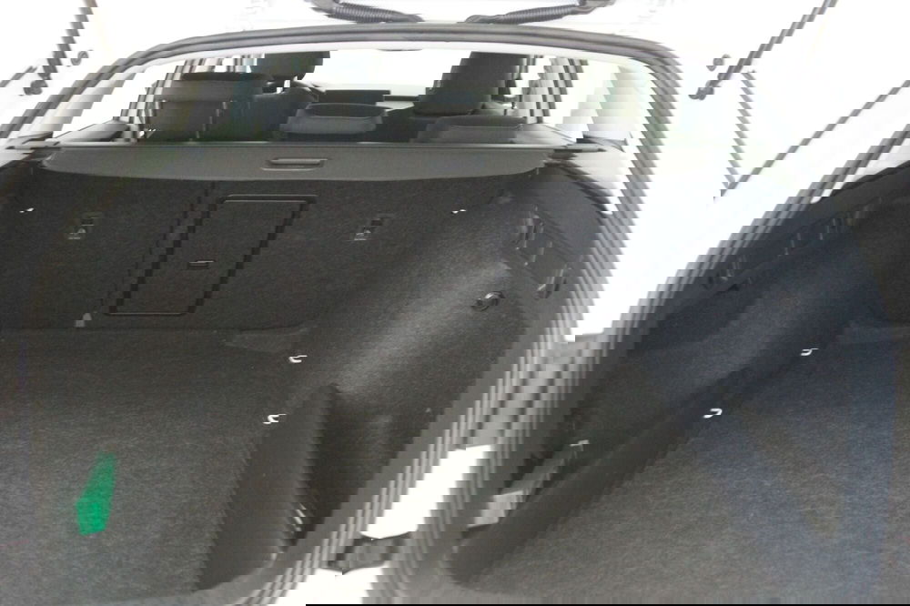 Skoda Octavia Station Wagon usata a Torino (7)