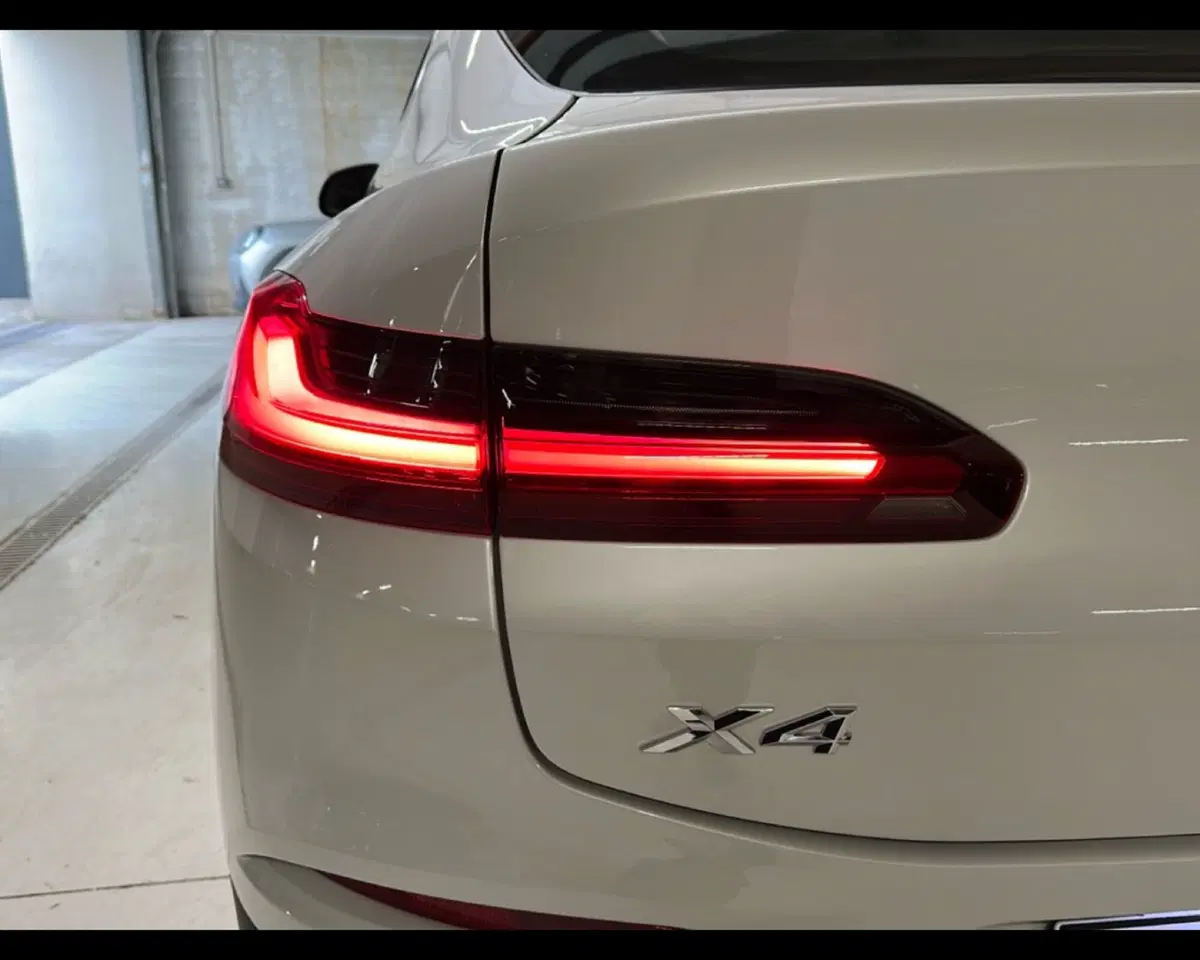 BMW X4 usata a Napoli (12)