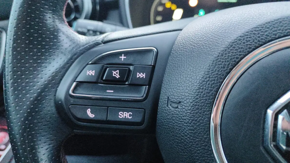 Mg HS usata a Firenze (16)