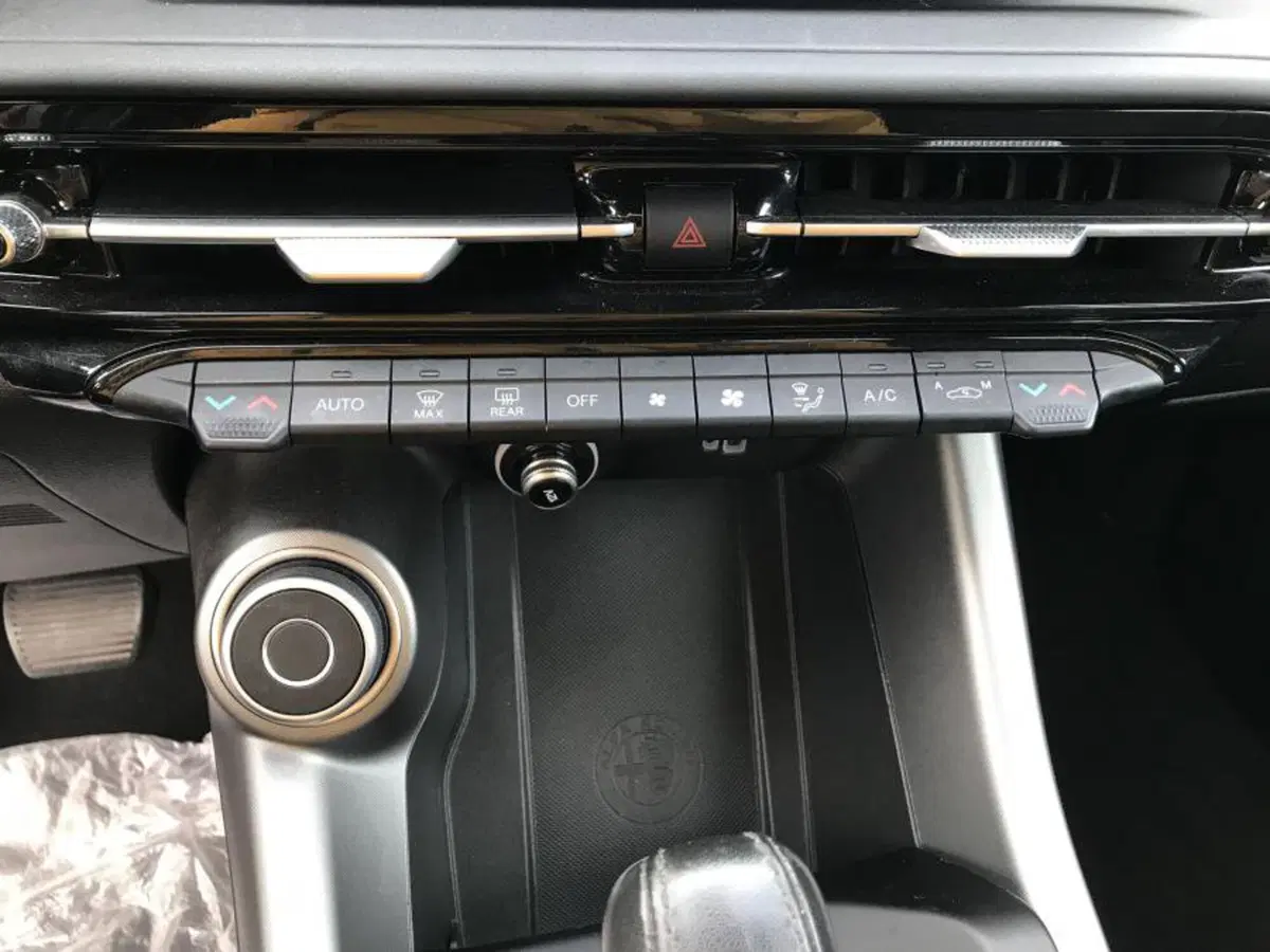 Alfa Romeo Tonale usata a Cuneo (13)