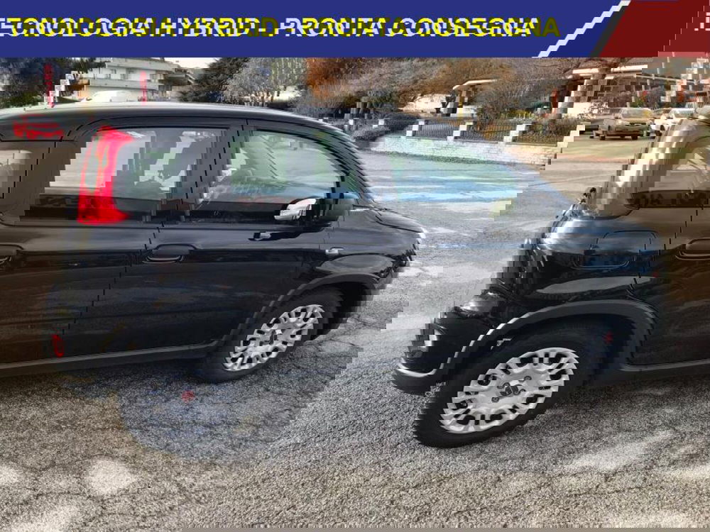 Fiat Panda Cross usata a Cuneo (2)