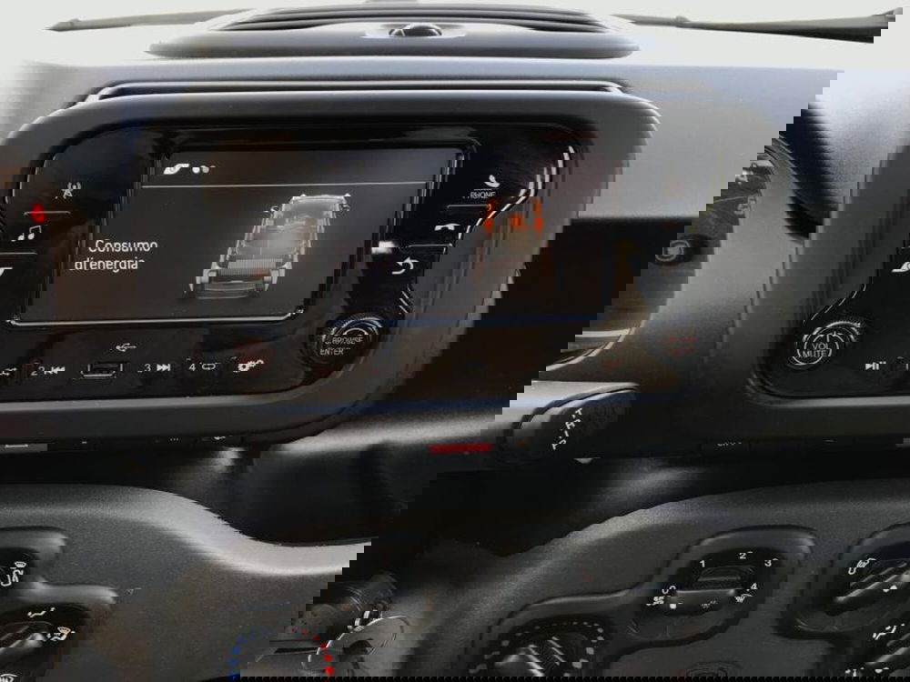 Fiat Panda Cross usata a Cuneo (11)