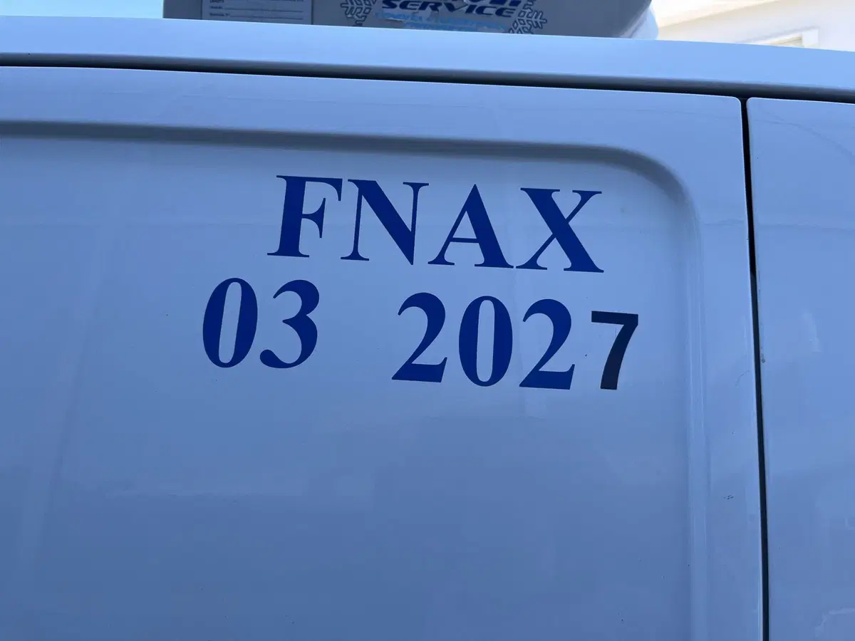 Ford Transit Custom Furgone usata a Rimini (6)