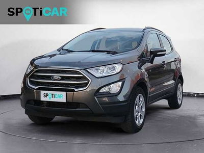 Ford EcoSport 1.0 EcoBoost 100 CV Plus del 2019 usata a Castelfranco Veneto