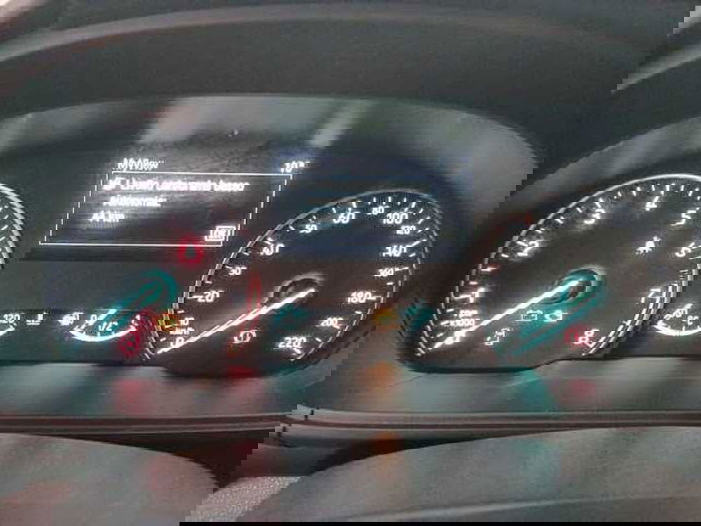 Ford EcoSport usata a Treviso (10)