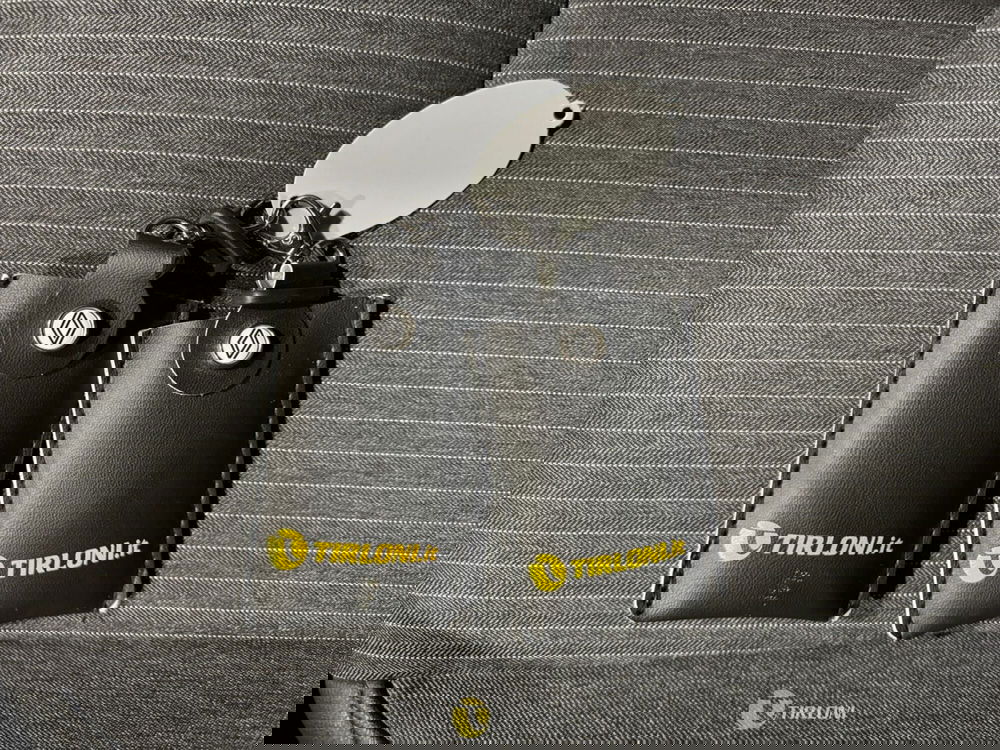 Renault Clio usata a Milano (18)